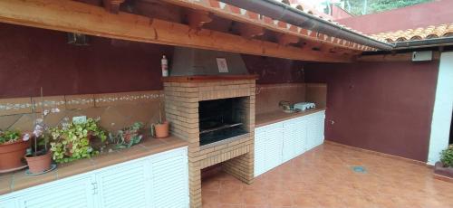 an outdoor kitchen with an outdoor oven with plants at Casa Los Guanches in La Guancha
