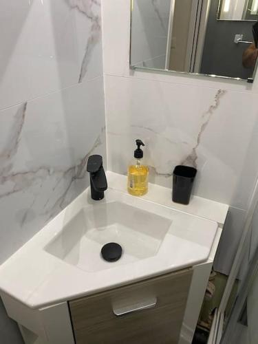 La salle de bains est pourvue d'un lavabo blanc et d'un miroir. dans l'établissement Appartement tout confort, à Limoges