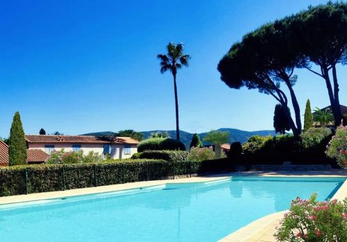 une grande piscine avec un palmier en arrière-plan dans l'établissement Domaine des Vignes Golfe de Saint Tropez, à Cogolin
