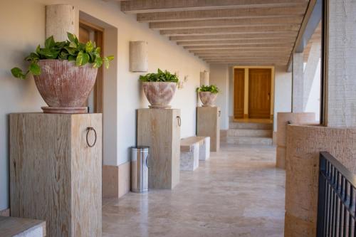 a hallway with potted plants on pillars in a building at Hotel Vinícola Parvada by Lumina in Parras de la Fuente