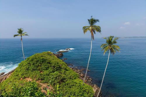 two palm trees on top of a hill next to the ocean at Rhome Home in Weligama