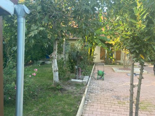 Κήπος έξω από το Résidence Soleil