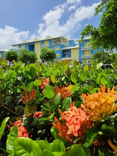 a field of flowers in front of a building at Ste Luce, N° 11 Appart -300m Plage de Mabouyas in Corps de Garde