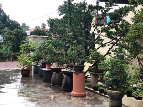 Zahrada ubytování Bonsai Homestay Kluang - B17