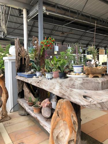 a wooden table with potted plants on it at Bonsai Homestay Kluang - B17 in Kluang