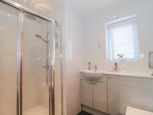 baño blanco con ducha y lavamanos en Homeland, en Somerton