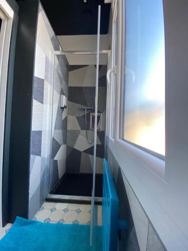 Elle comprend une petite salle de bains pourvue d'une douche en verre. dans l'établissement Le manoir des rêves, bulle de confort et de sérénité, proche clinique d'Europe, Parking privé gratuit, à Rouen