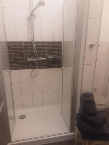 W łazience znajduje się prysznic ze szklanymi drzwiami. w obiekcie Ferienhäuschen am Heumarkt w mieście Deidesheim