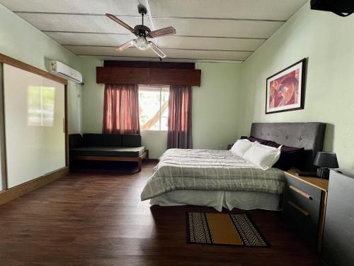 HOTEL MEDITERRANEO في مونتيفيديو: غرفة نوم بسرير ومروحة سقف