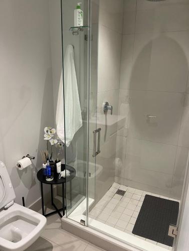 a shower stall in a bathroom with a toilet at Exec Oasis @Ellipse in Midrand