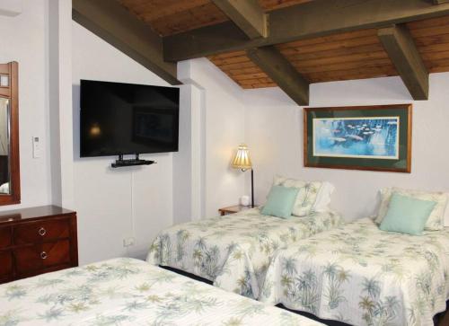 een slaapkamer met 2 bedden en een flatscreen-tv bij Papakea Resort G406 in Lahaina