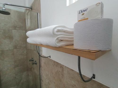 łazienka z prysznicem i ręcznikami na półce w obiekcie Panoramic View to the ocean Manta w mieście Manta