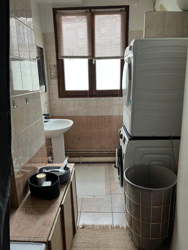 baño pequeño con fregadero y nevera en Charmant appartement proche Paris, en Saint-Ouen