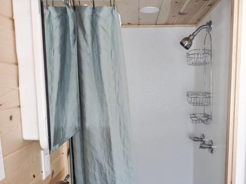 a shower with a blue shower curtain in a bathroom at The Little Park in Farmington