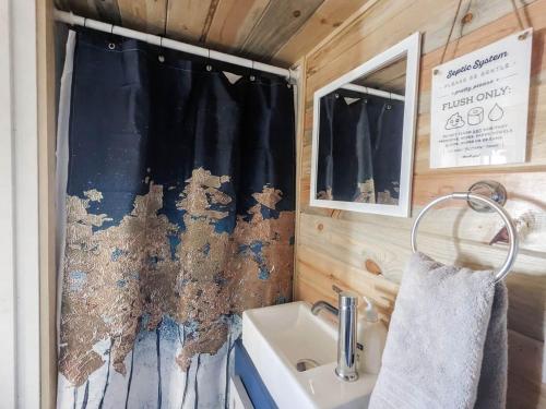 a bathroom with a sink and a shower curtain at The Little Park in Farmington