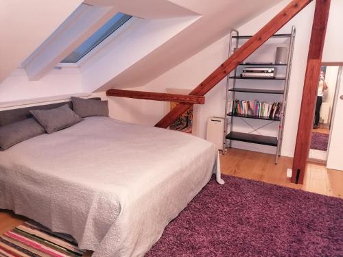um quarto com uma cama e uma estante de livros em Haus Larissa em Gmünd