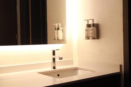 a bathroom with a sink and a mirror at Holiday Inn Durango by IHG in Durango
