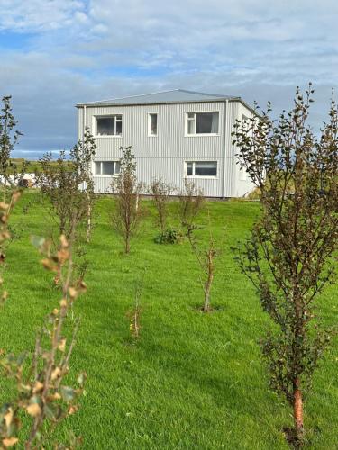 a white building in the middle of a field with trees at Selið Farm Stay - Guesthouse 
