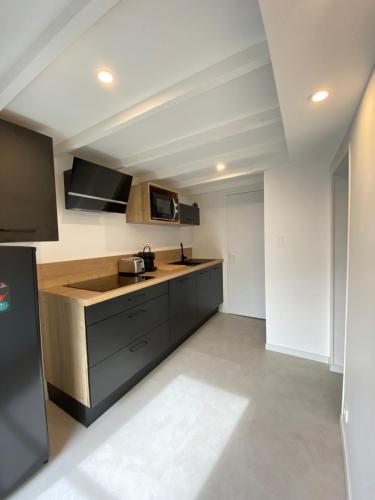 une cuisine avec un évier et un plan de travail dans l'établissement La Douce Angevine - Le Perroquet, à Angers