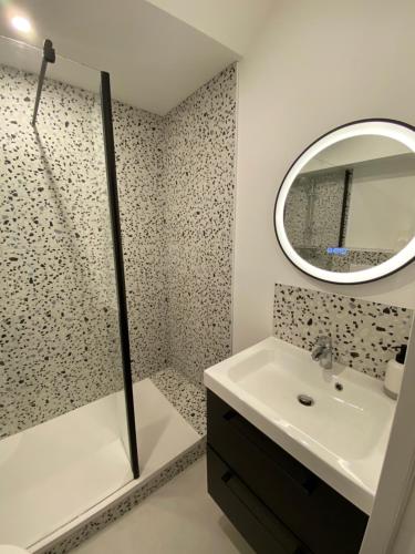 une salle de bain avec une douche, un lavabo et un miroir dans l'établissement La Douce Angevine - Le Perroquet, à Angers
