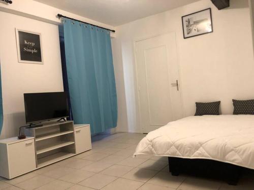 um quarto com uma cama e uma televisão de ecrã plano em Superbe appartement meublé refait à neuf em Montélimar