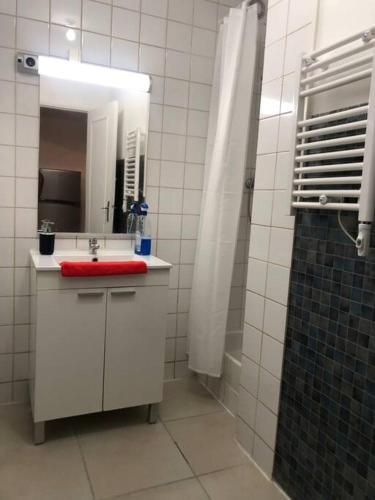 uma casa de banho com um lavatório vermelho e um espelho. em Superbe appartement meublé refait à neuf em Montélimar