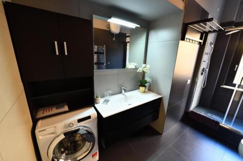 een badkamer met een wasmachine en een wastafel bij Luxury Villa Tokyo in Kunitachi