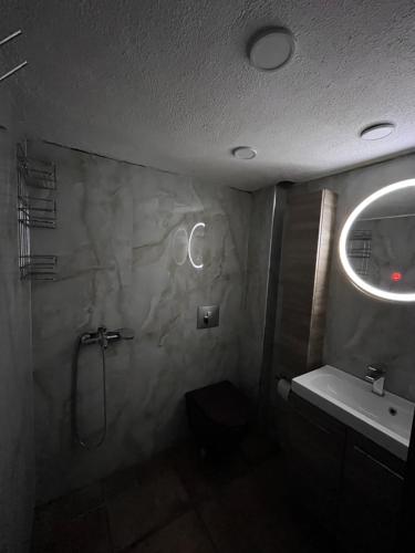 a bathroom with a shower and a toilet and a sink at Καλλιθεα in Kallithea Halkidikis