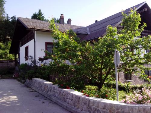 Fotografie z fotogalerie ubytování Guest House Ema v destinaci Crni Lug