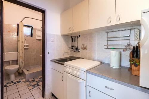 a small kitchen with a sink and a toilet at Apartments Stefani in Vir