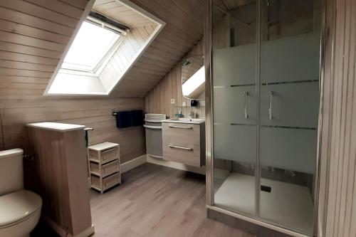 a bathroom with a shower and a toilet and a skylight at Au Repos du Fayé in Grosmagny