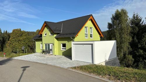 een groen huis met een witte garage bij Greenhaus in Feldberg