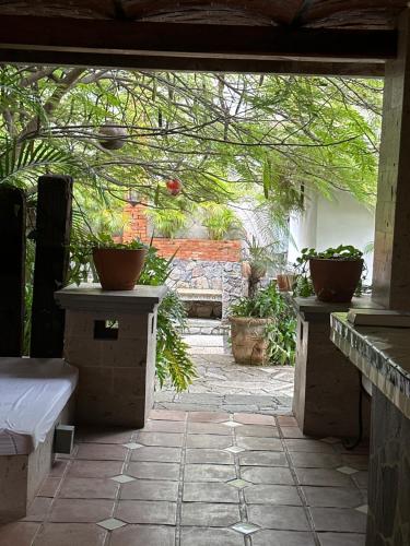 an outdoor patio with potted plants and a bench at Casa Miura Hotel Boutique in Ajijic