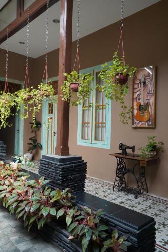 a room with potted plants in front of a building at BELVA huis in Bogor