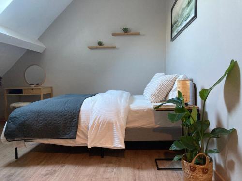een slaapkamer met een bed en een potplant bij Chez Roya in Zaventem