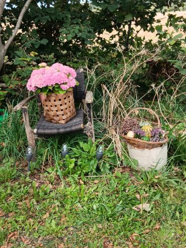 a basket of flowers sitting on a chair with baskets of flowers at Bøelgaarden in Gørding