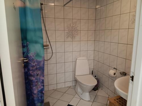 La salle de bains est pourvue de toilettes et d'un lavabo. dans l'établissement Bøelgaarden, à Gørding