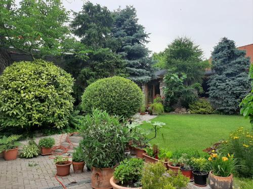 a garden with potted plants and a lawn at VISUAL Apartmán in Komárno