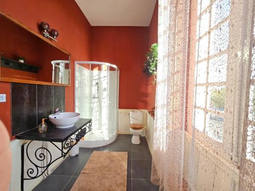 ein Badezimmer mit einem Waschbecken, einem WC und einem Spiegel in der Unterkunft Château Arche d'Aure in Vicq-dʼAuribat