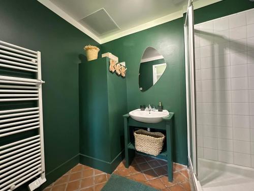 ein grünes Bad mit einem Waschbecken und einem Spiegel in der Unterkunft Le gîte du chastel in Frélinghien