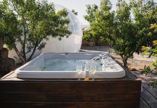 a hot tub in a yard with trees and a satellite at Campera Valle de Guadalupe in Ensenada