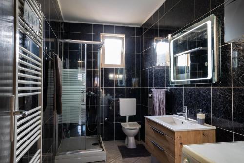 Łazienka wyłożona jest czarnymi kafelkami i dysponuje toaletą oraz umywalką. w obiekcie Garden Holiday Home w mieście Drenje