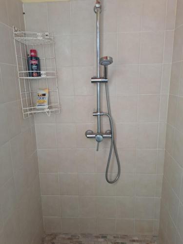 eine Dusche mit Duschkopf im Bad in der Unterkunft MAISON de VACANCES ANSES D'ARLET in Les Anses-dʼArlets