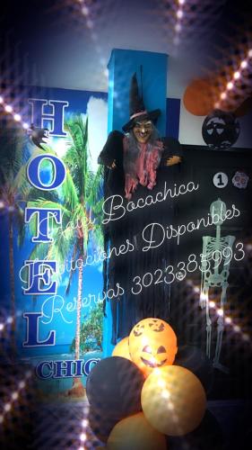 a picture of a dog in a witch hat and some lights at HOSTAL BOCA CHICA in Cartagena de Indias