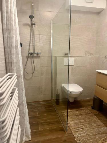 a bathroom with a glass shower and a toilet at APPT RUE DE STRASBOURG in Luxembourg
