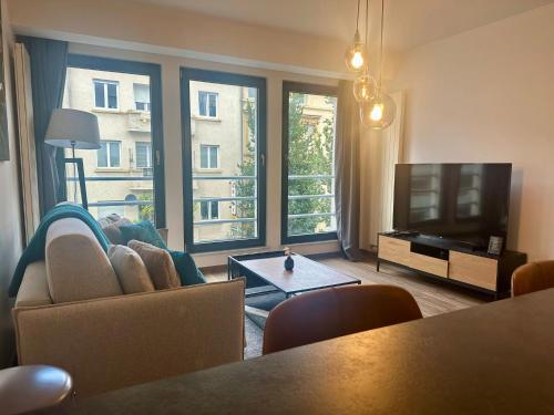 sala de estar con sofá y TV en APPT RUE DE STRASBOURG en Luxemburgo