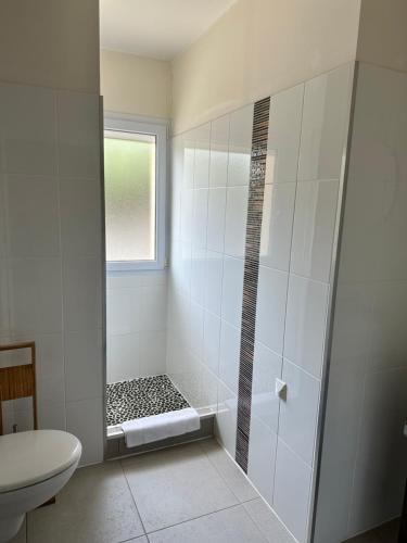 baño con ducha, aseo y ventana en Appartement avec piscine à 50 m de la plage, en Propriano