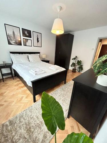 a bedroom with a bed and a plant in it at Charming treasure - City centre in Timişoara