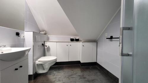 A bathroom at Świt - apartament w Jeżowie Sudeckim