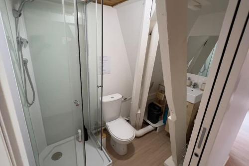 une salle de bain avec toilettes, douche et lavabo dans l'établissement Studio SUN - Hyper Centre Dunkerque & Proche Plage '15m, à Dunkerque